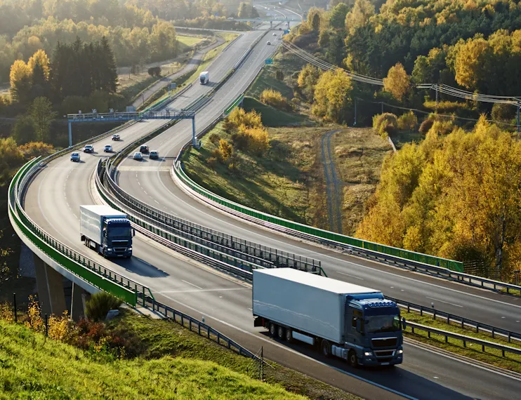 A busy motorway bridge surrounded by trees with a phone overlayed on top, using an application.